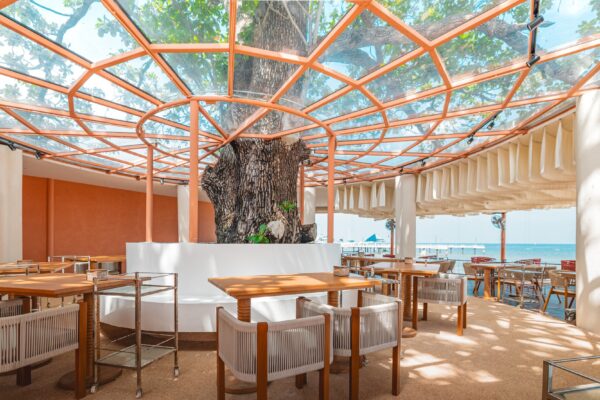 Casa Tropika